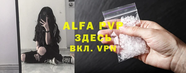 ПСИЛОЦИБИНОВЫЕ ГРИБЫ Сясьстрой
