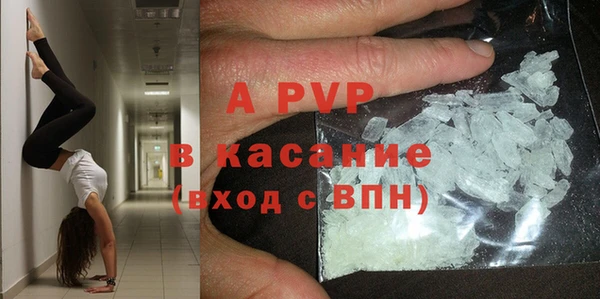 гашик Абаза
