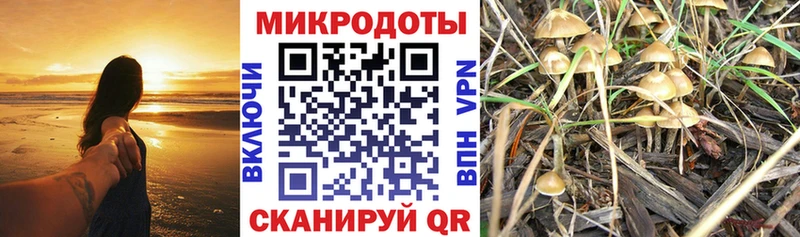 Галлюциногенные грибы мицелий  цены наркотик  Лосино-Петровский 